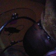 DarkFox204