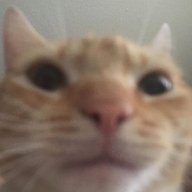 JoshTheFurry