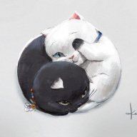 Lonely_kitten