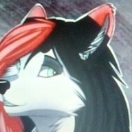 X_WildFurry_X
