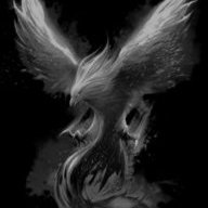 DarkPhoenix1337