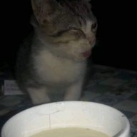 Linko1
