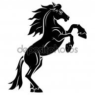 PEGASUS247