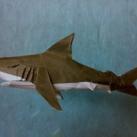 OrigamiShark