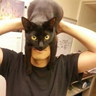 TheManCat
