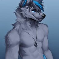 Wolff43