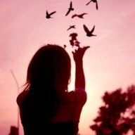 LoveWisefool