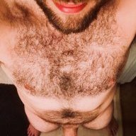 BWCBull8_5