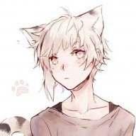 TheFallenKitty