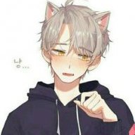 Lilsubbykitten