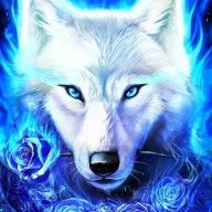 Bluewolf2019