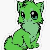 Kitttyycat
