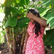 NeeshaBhogle