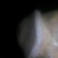 Mora24