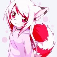 Sugarkitten