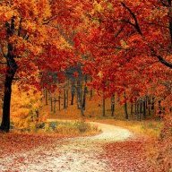 Autumnal_Fall