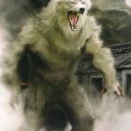 Wolfeboy