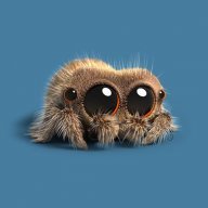 Spider991