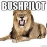 BushPilot