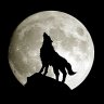 Wolf-man