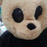 CuddleBear
