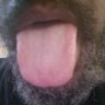 Hornyaf777