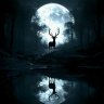 Moonlight_