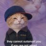 TheIntermissionOfCats