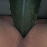 FruityBottomBoy