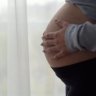 pregnantlover
