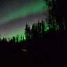 Arcticliving