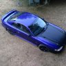 purplepony