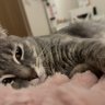smallandpretty