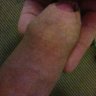 tommybbwlover