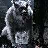ShadowLycan