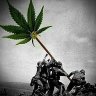 Massdick420