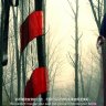 lonelydick