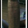 Dutwat
