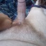 Tfred91