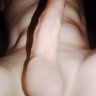 hornyboner