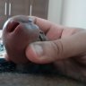 Chronic_Masturbator