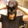 TheManCat