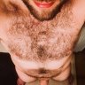 BWCBull8_5
