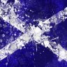 scotland456