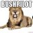 BushPilot