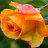 Terri_Anne_WI