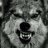 White_Wolf