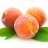 baby_peach3