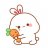 IndianBunny