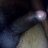 Dabare